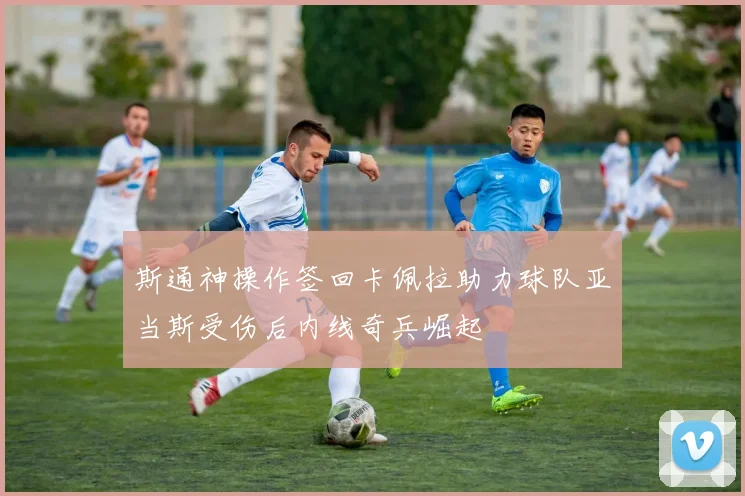 斯通神操作签回卡佩拉助力球队亚当斯受伤后内线奇兵崛起