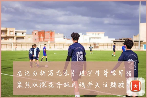 名记分析若无法引进字母哥绿军将聚焦双探花升级内线并关注鹈鹕墨菲